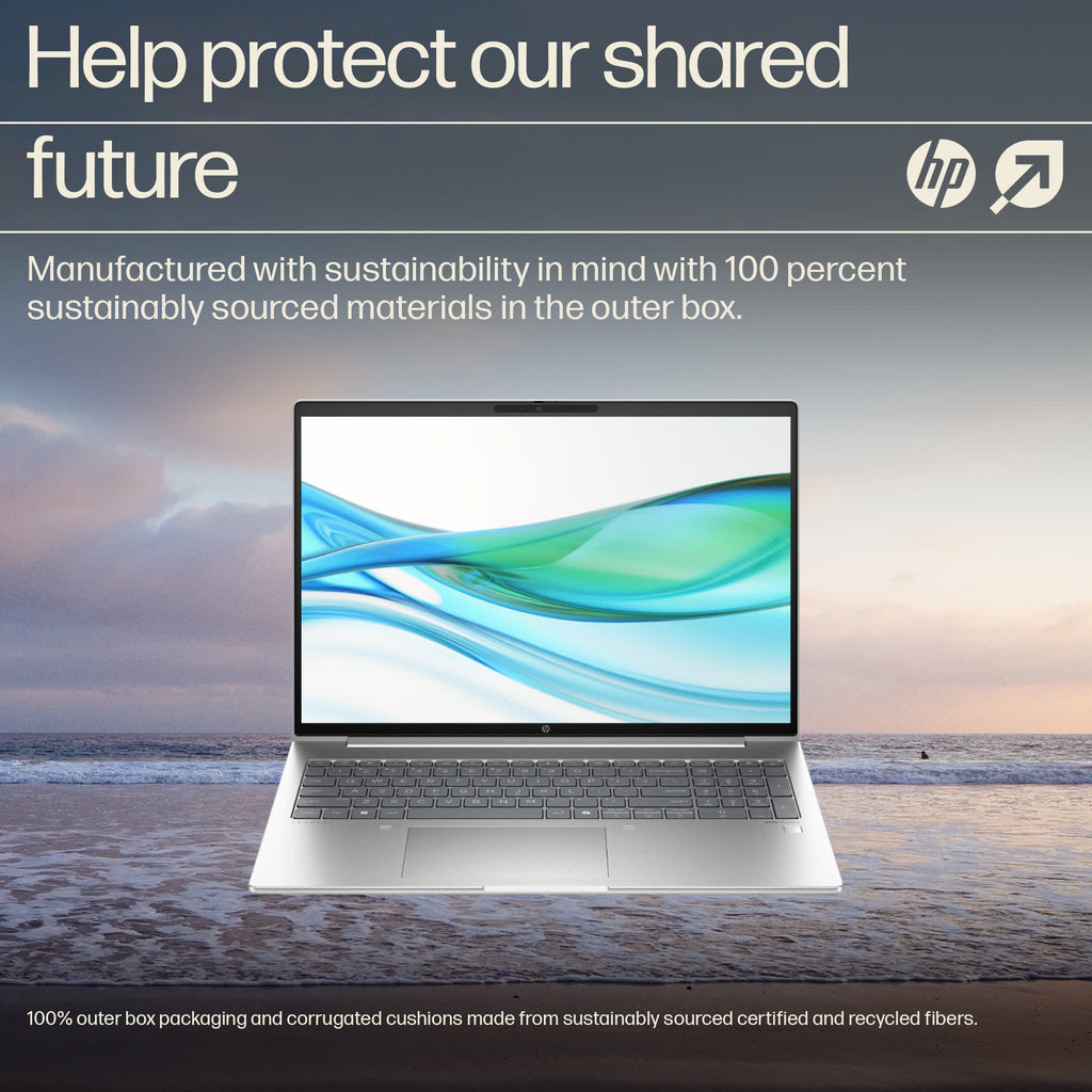 HP ProBook 460 G11 Intel Core Ultra 5 125U Laptop 40.6 cm (16") WUXGA 24 GB DDR5-SDRAM 256 GB SSD Wi-Fi 6E (802.11ax) Windows 11 Pro AI PC Silver HP
